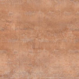 Hookedonwalls Bossa Nova Mural Pedra 22463