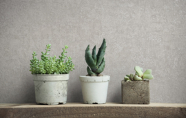 Marburg Kumano behang 34518