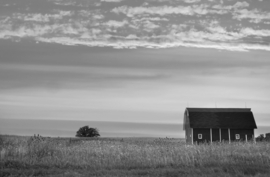 Papermoon Fotobehang Huis In Het Weiland Zwart-Wit