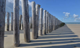 Noordwand Holland Fotobehang Strandpalen 5520