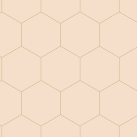 Esta Home Art Deco behang  Hexagon 139226