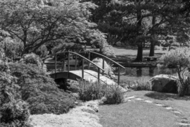 Papermoon Fotobehang Brug In Het Parkje Zwart-Wit