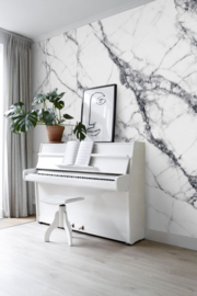 Esta Home Black & White - with a splash of gold behang PhotowallXL Wall Marble 158942