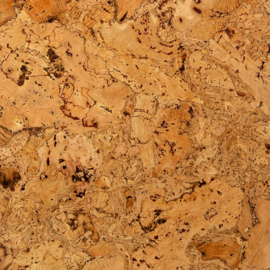 Noordwand Wandkurk kurk tegel Oslo 2097