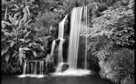 Papermoon Fotobehang Zwart-Witte Waterval