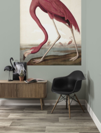 KEK Amsterdam Flora & Fauna behangpaneel Flamingo PA-012