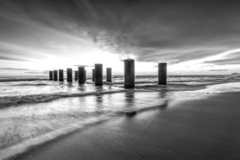 Papermoon Fotobehang Strand Palen Boven Water Zwart-Wit