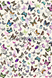 Behangexpresse COLORchoc Wallprint Butterflies INK 6072