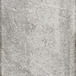 Arte NLXL Piet Boon Concrete behang Rough CON-03