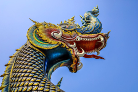 Papermoon Fotobehang Kleurrijke Chinese Draak