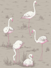 Cole & Son The Contemporary Collection behang Flamingos 66/6042