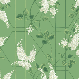 Cole & Son Botanical behang Wisteria 115/5016