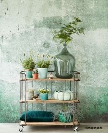 Eijffinger Resource Wallpower 369151 Green Weathered Wall