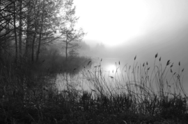 Papermoon Fotobehang Meer In Het Bos Zwart-Wit