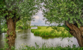 Noordwand Holland Fotobehang Woerden 7590