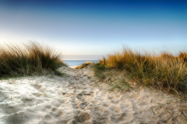 Papermoon Fotobehang Duinpad Naar Het Strand