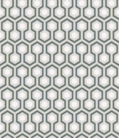 Cole & Son The Contemporary Collection behang Hicks' Hexagon 66/8055