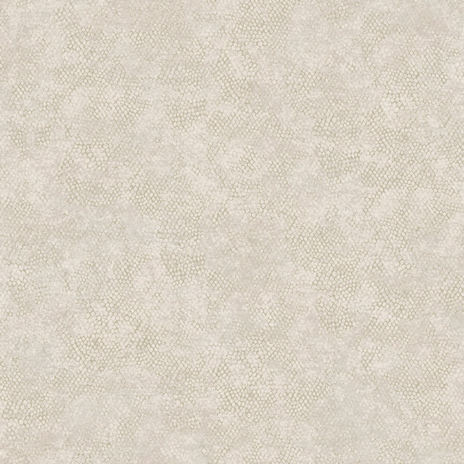 Dutch First Class Textura behang Ophidian Dove 66122