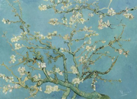 BN van Gogh Digital 30548 Almond Blossom