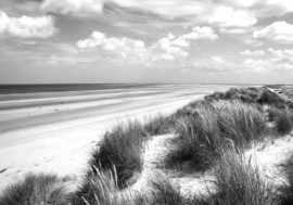 Papermoon Fotobehang Strand Duingras Zwart-Wit