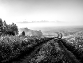 Papermoon Fotobehang Landweg Zwart-Wit