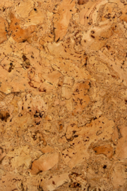 Noordwand Wandkurk kurk tegel Oslo 2097