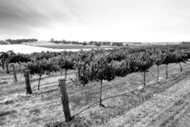 Papermoon Fotobehang Landschap Zwart-Wit