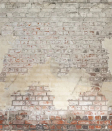 Caselio Reliefs behang Brickwall RLF 106251025