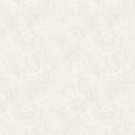 Hookedonwalls Livingstone behang Flagstone 53724