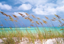 Komar Ocean Breeze Fotobehang National Geographic 8-515