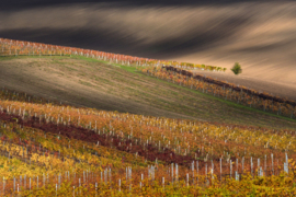 Papermoon Fotobehang Bruine Velden