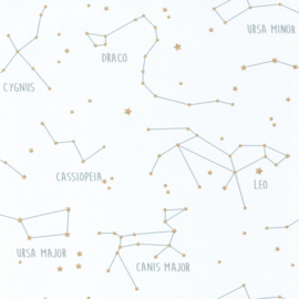 Caselio Our Planet behang Constellations OUP 10917125