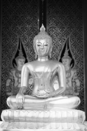 No Limits Fotobehang Buddha silver 30026