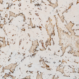 Noordwand Wandkurk kurk tegel Alaska 2095