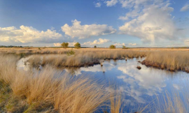 Noordwand Holland Fotobehang Hoge Veluwe 0677