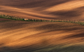 Papermoon Fotobehang Abstract Landbouwveld