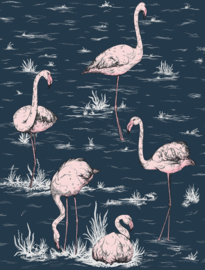 Cole & Son Icons behang Flamingos 112/11041