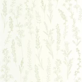 Casadeco Le Beau Jardin behang Carnet Botanique Vert Amande BJAR 202597777
