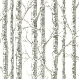 York Wallcoverings Black & White Resource Library behang Paper Birch BW3901