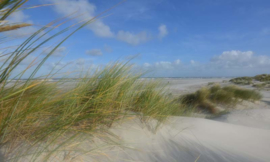 Noordwand Holland Fotobehang Schiermonnikoog Duinen II 0487