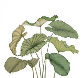 Casadeco Wonderwalls 3 behang Alocasia Vert Feuillage S WDWT 202227840 NW