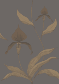 Cole & Son The Contemporary Collection behang Orchid 95/10056