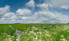 Noordwand Holland Fotobehang Nijkerk Arkenheem 6516