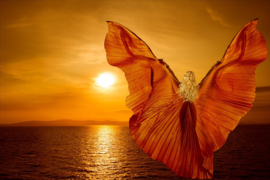 Papermoon Fotobehang Vlinder Fantasie Vrouw