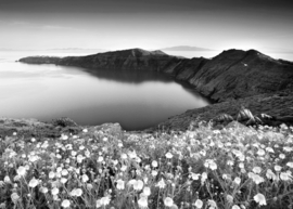 Papermoon Fotobehang Berglandschap Zwart-Wit