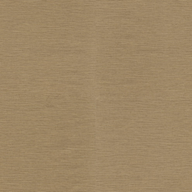 Roberto Cavalli Home № 9 behang RC 21089