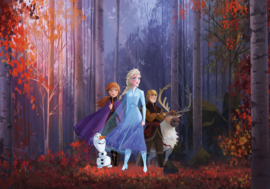 Disney Into Wonderland Fotobehang Frozen Autumn Glade IADX8-005