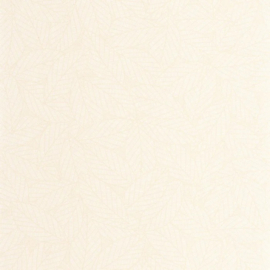 Caselio Elea behang Delora Blanc ELEA 107340000