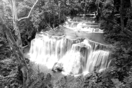 Papermoon Fotobehang Waterval In Het Bos Zwart-Wit