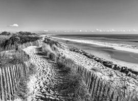 Papermoon Fotobehang Zwart-Wit Strand